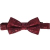 image:imageGioberti Mens Formal 4pc Paisley Vest Necktie Bowtie and Pocket SquareBurgundy B