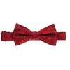 image:imageGioberti Mens Formal 4pc Paisley Vest Necktie Bowtie and Pocket SquareRed B
